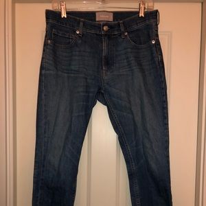 Everlane Mid-Rise Skinny Jean 29A Ankle Mid Blue